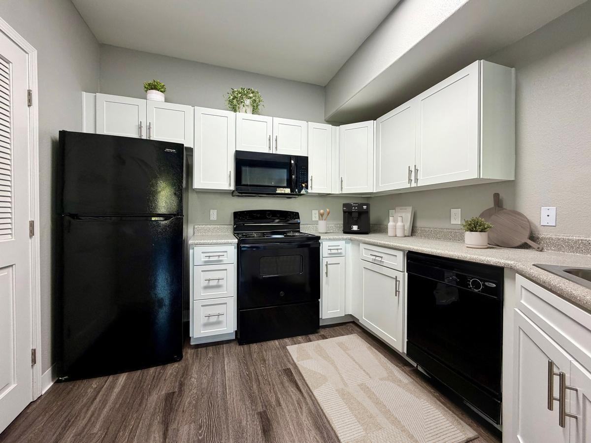 3351 Duckhorn Dr - Photo 4 of 29