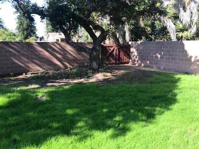 3814 Palo Dr - Photo 5 of 7