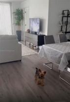 3300 Ne 192nd St #906 - Photo 1 of 1