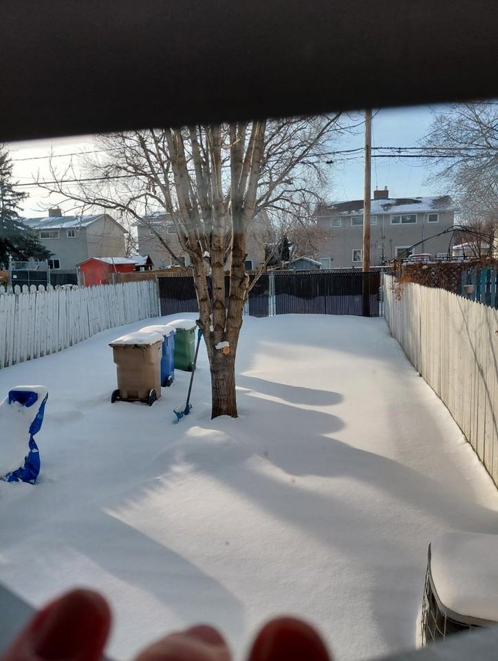 426 Royal St - Photo 6 of 10