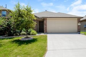 featured image of 15130 Cinnamon Teal