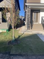 68 Creekstone Drive Southwest - Photo 1 of 1