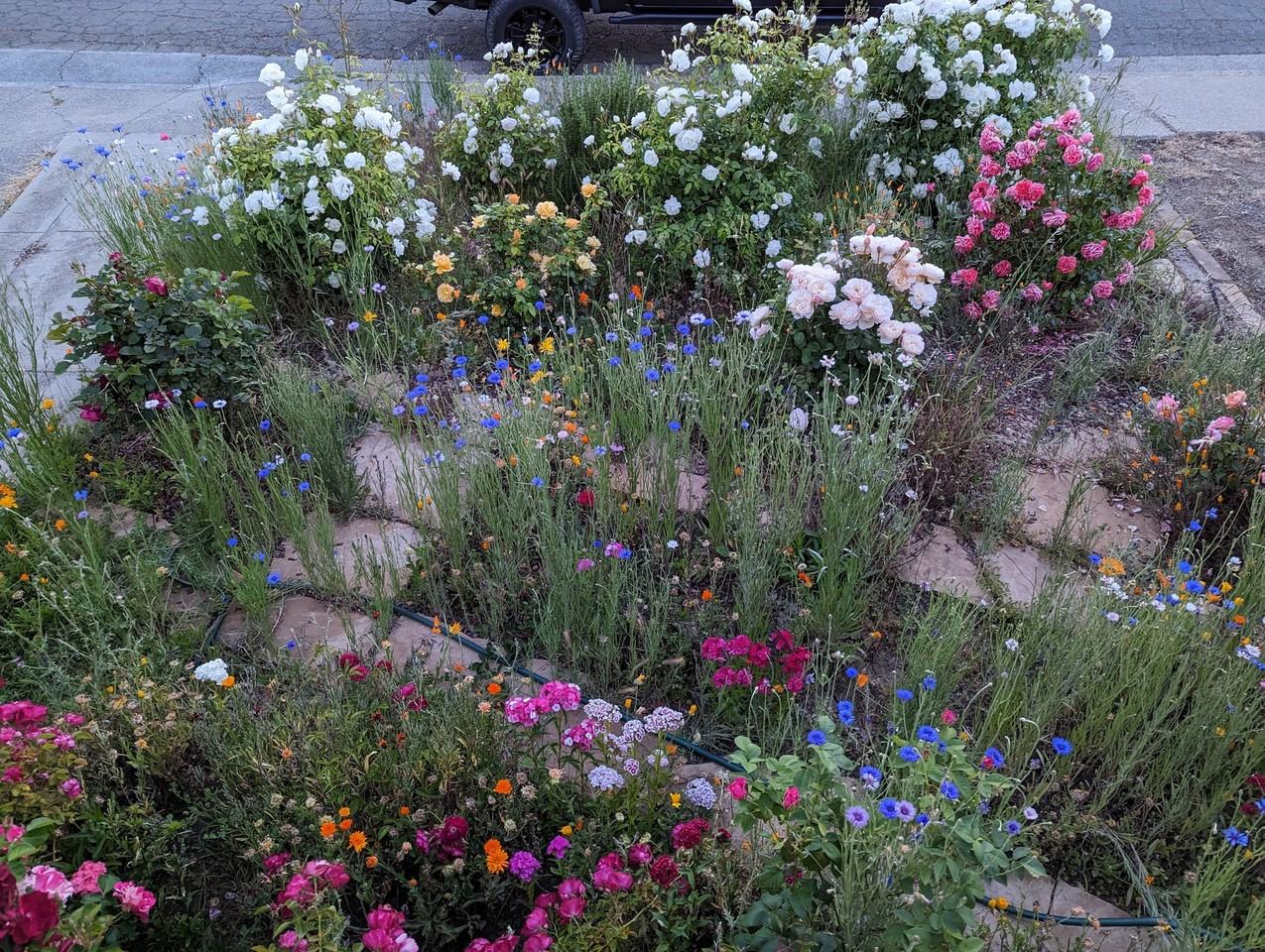 Viewmont Ave & Shasta St - Photo 2 of 25