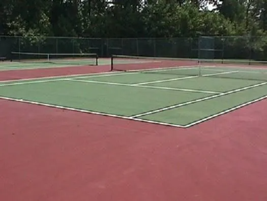 7063 Elm Ct - Photo 4 of 19