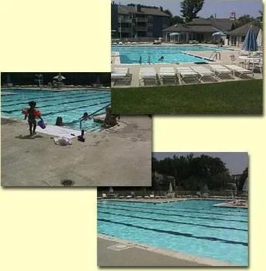 7063 Elm Ct - Photo 6 of 19