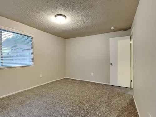 34812 27th Ave Sw - Photo 6 of 9