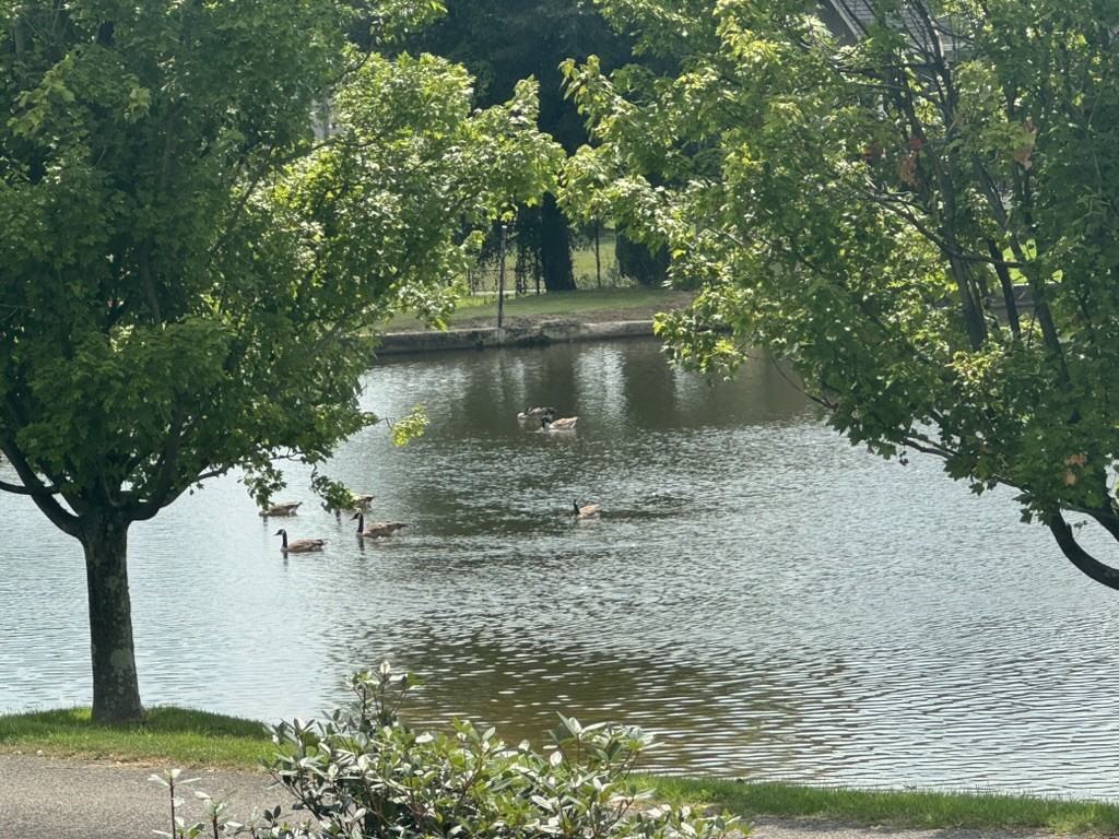 3 Forest Lake Dr #NA - Photo 2 of 18