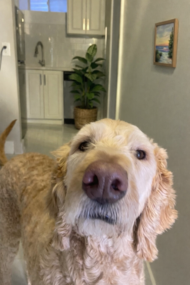 7 Old Firehall Lane #7 - Photo 3 of 8