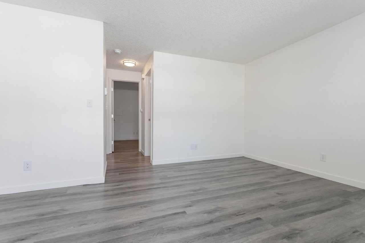 Arise Bellingham - Photo 7 of 21