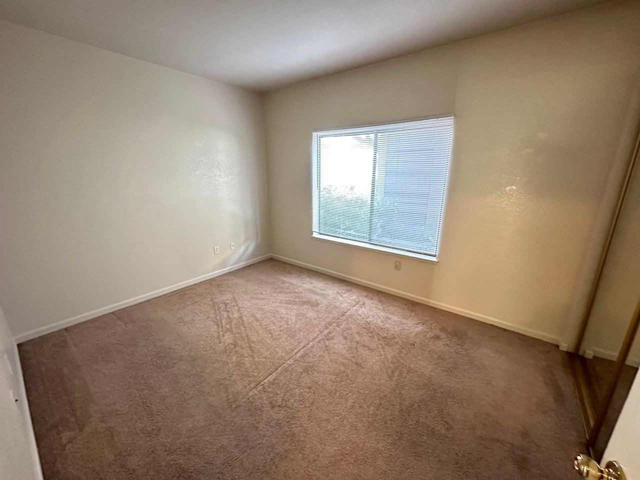 2600 Oak Rd #194 - Photo 7 of 12