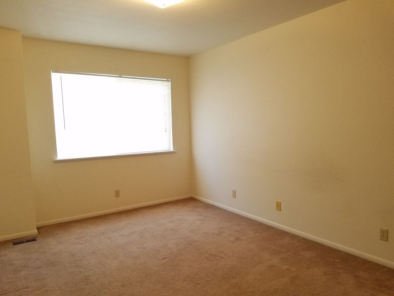 4850 Basswood Dr - Photo 3 of 8