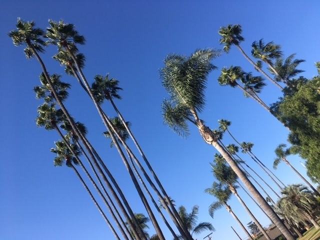 604 Lake St #4 - Photo 5 of 18