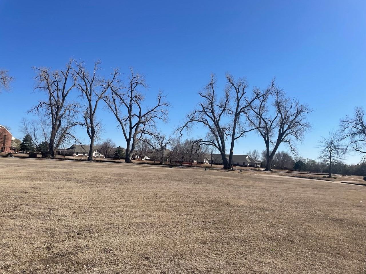 1604 Lakeshore Dr - Photo 5 of 24