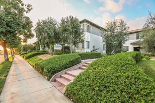 Home-Sweet-Home Vibe in Olive Tree! - Photo 1 of 1