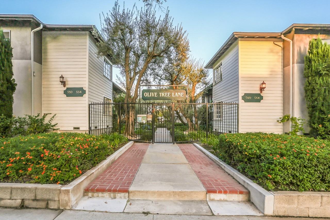 Home-Sweet-Home Vibe in Olive Tree! - Photo 6 of 12