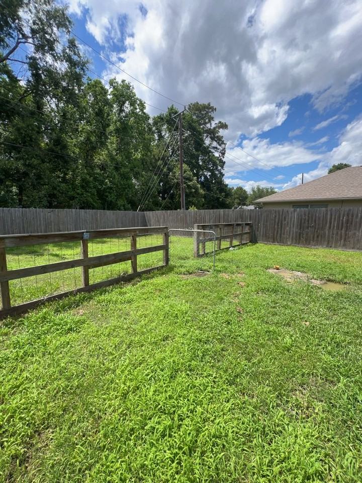 24407 Strong Pine Dr - Photo 3 of 6