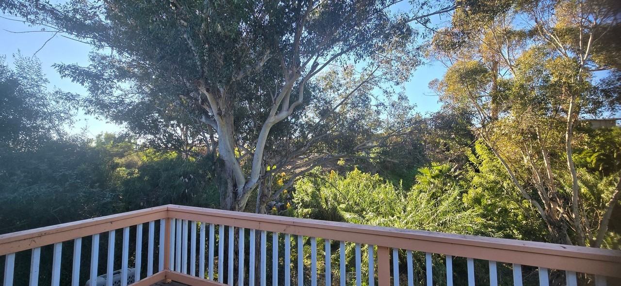 3205 42nd St - Photo 3 of 11