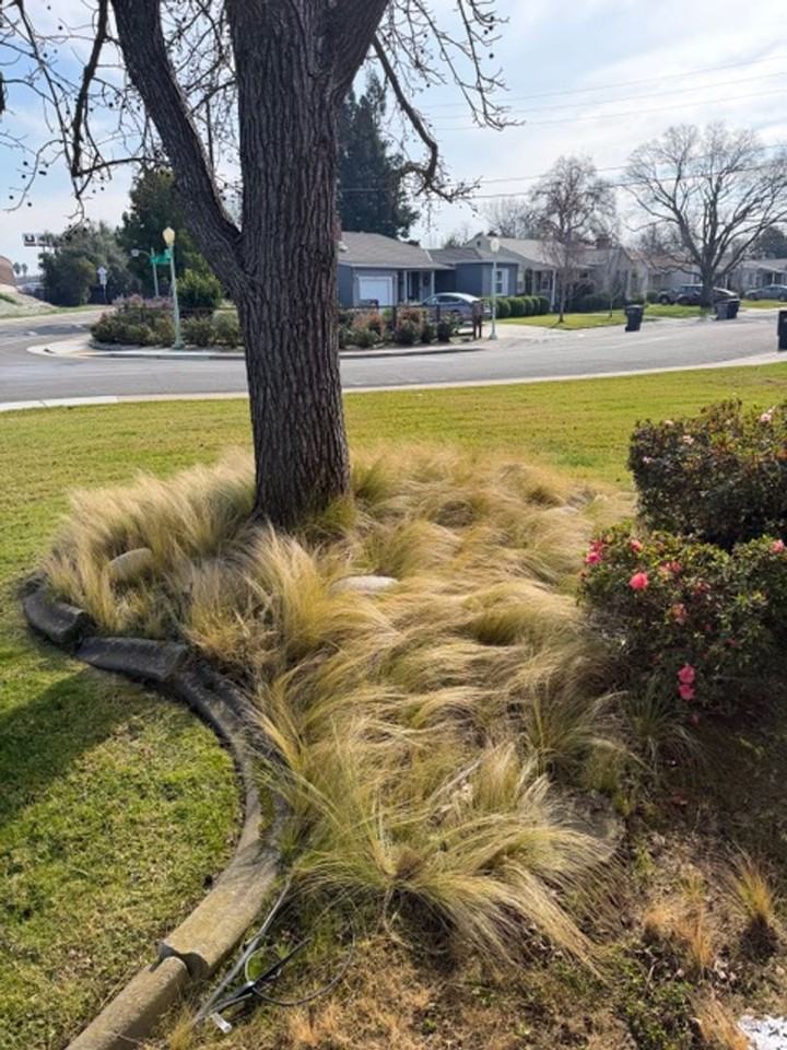 6358 2nd Ave - Photo 4 of 39