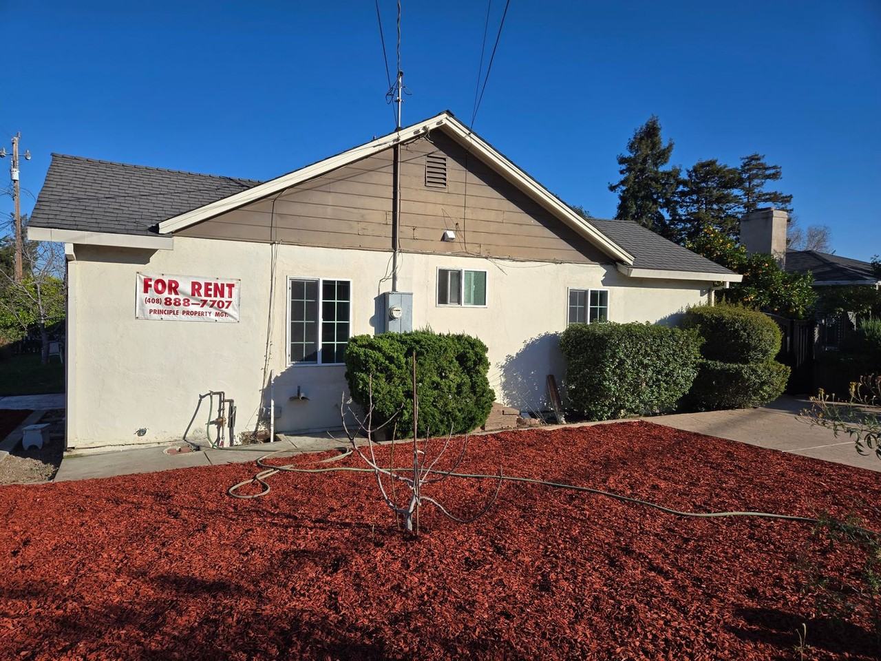 952 Bryant Way - Photo 3 of 13