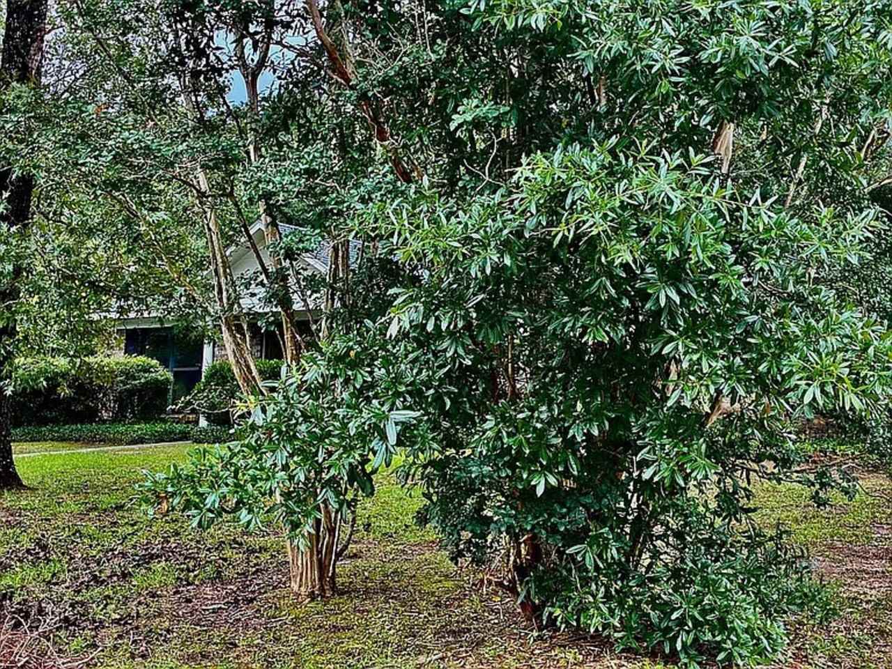 7221 Lakewood Rd - Photo 2 of 30