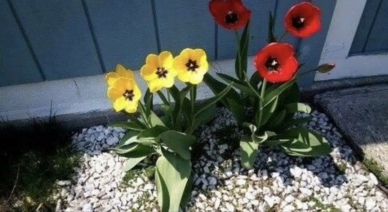 313 Male Ave - Photo 2 of 20