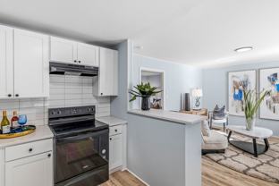 Newly Remodeled 1 Bedroom Apartment - Photo 1 of 1