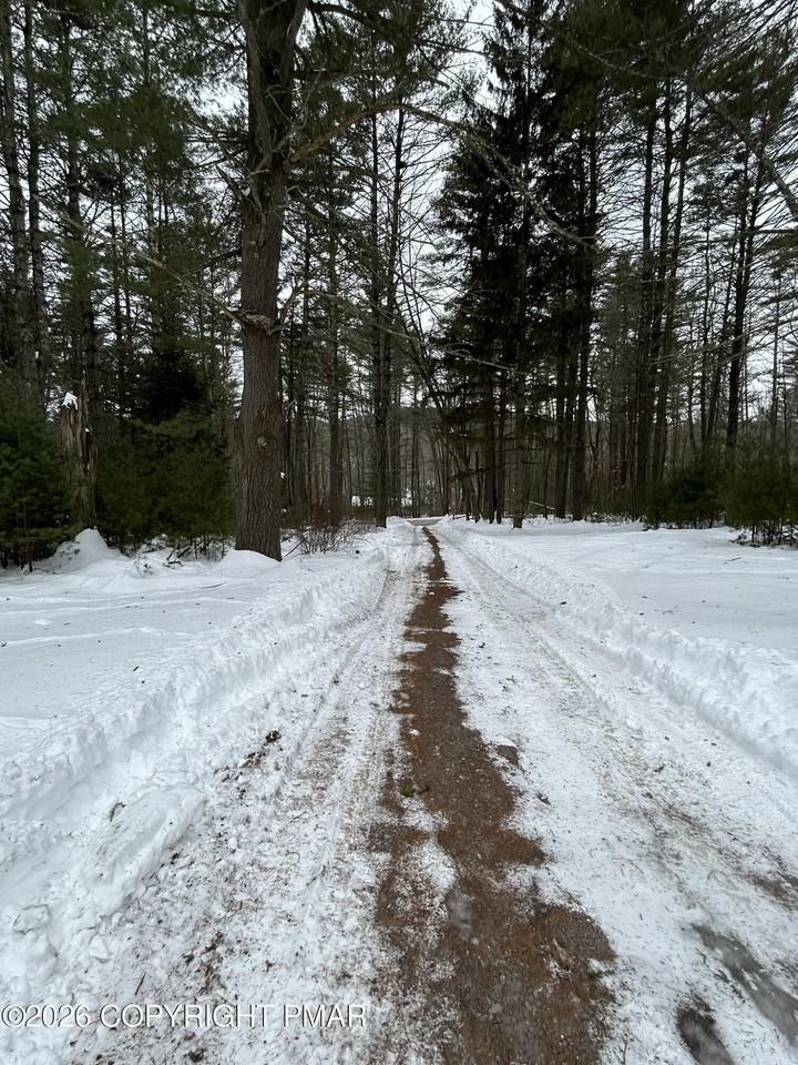 1113 Bush Rd - Photo 2 of 31