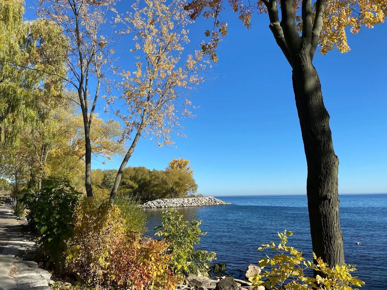 15 Muskoka Avenue - Photo 3 of 12