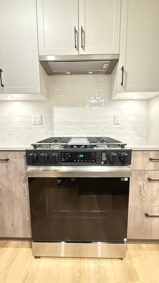 27218 ALDERGROVE TOWN CENTRE Drive #3XX - Photo 3 of 20