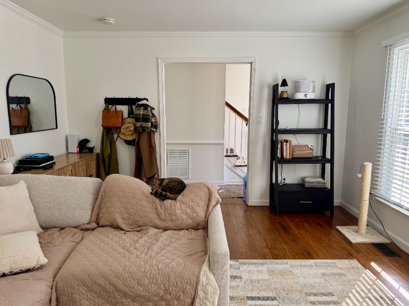 1240 Patrick Ln - Photo 6 of 20