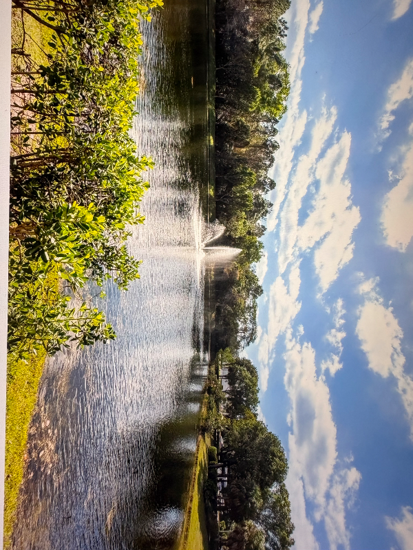 900 Crestwood Ct S #907 - Photo 2 of 17