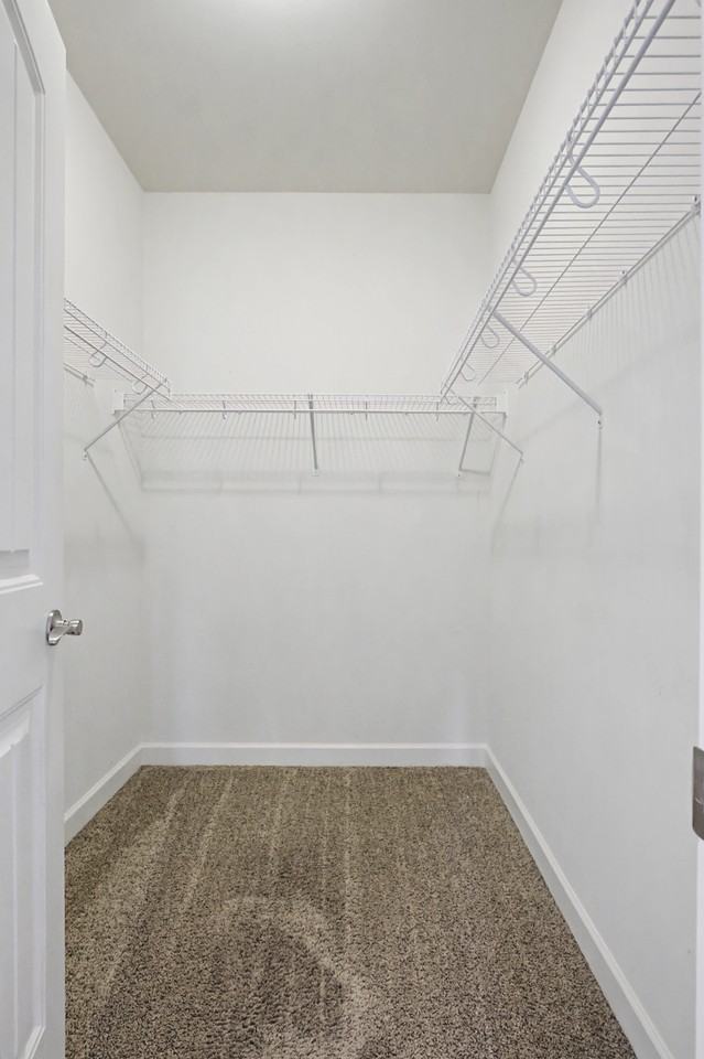 140 Tulip Grove Point - Photo 6 of 19