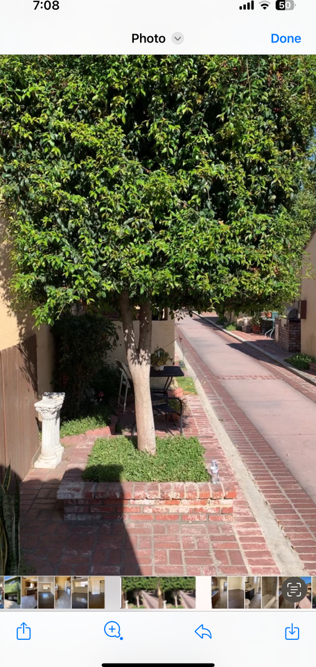 5031 Bakman Ave #NA - Photo 6 of 8