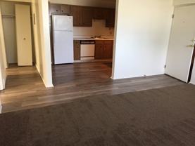 shore - Photo 1 of 1