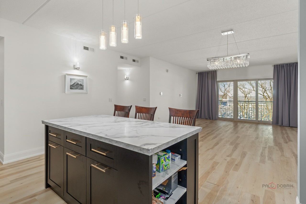 8727 W Bryn Mawr Ave Apt 501 #501 - Photo 7 of 17