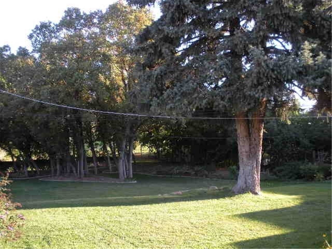 2481 E St - Photo 2 of 12