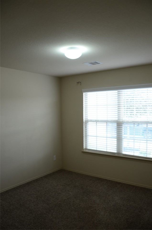 3719 Indigo Forest St - Photo 5 of 6