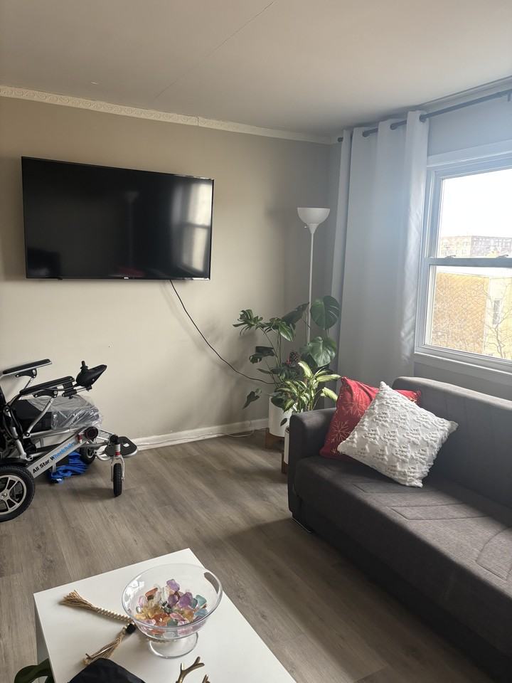 110 68th Street #2-E - Photo 4 of 10