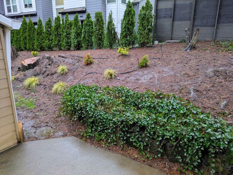 17979 Sw 115th Ave #5 - Photo 3 of 17