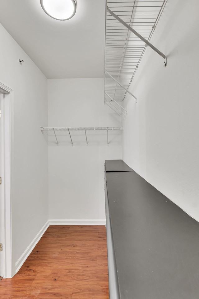 Steeplechase At Malta - Photo 5 of 40