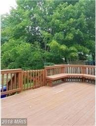 2338 Ladymeade Dr - Photo 2 of 26