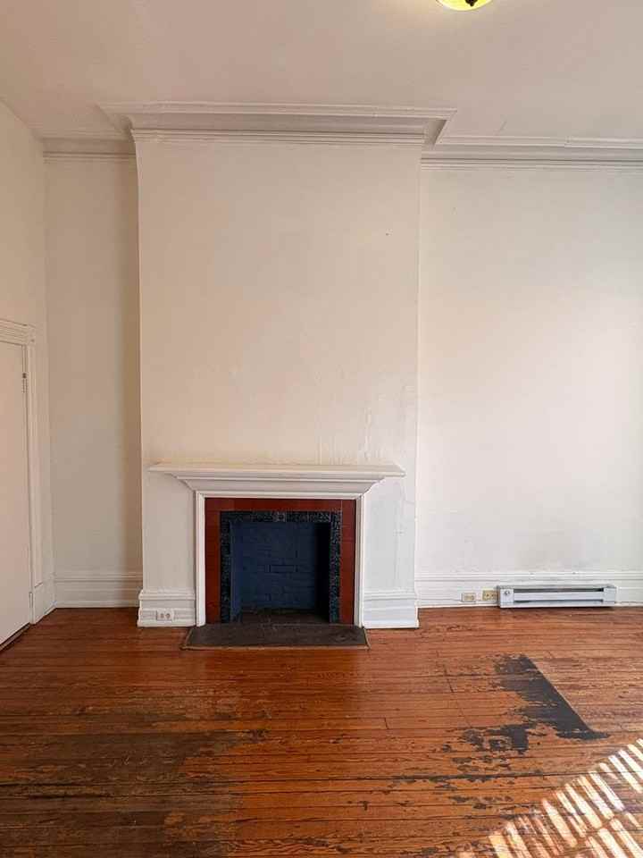 12 E. Biddle St - Photo 3 of 29