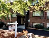 White Birch - Photo 1 of 1