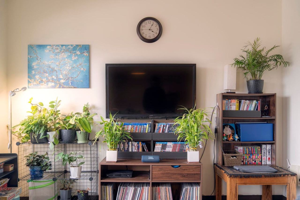 Ravenwood - Photo 4 of 50