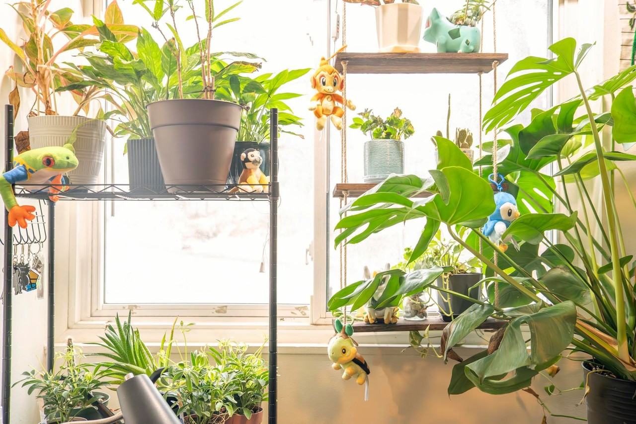 Ravenwood - Photo 7 of 50