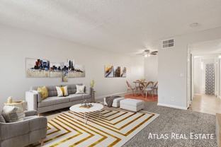 Cherry Tree - Photo 1 of 1