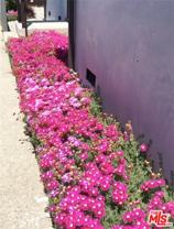 9042 Carson St #9042 - Photo 1 of 1