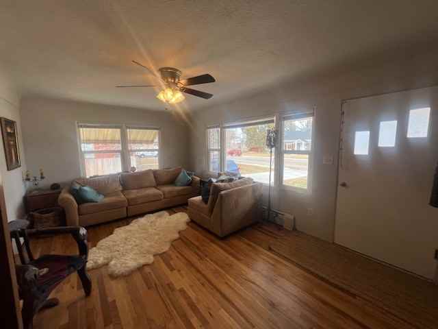 337 Winther Blvd - Photo 2 of 31