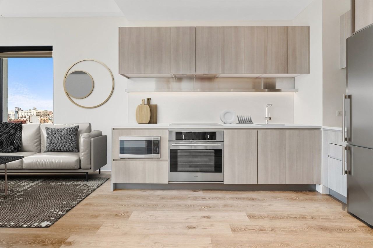 171 Chrystie St #12F - Photo 3 of 20