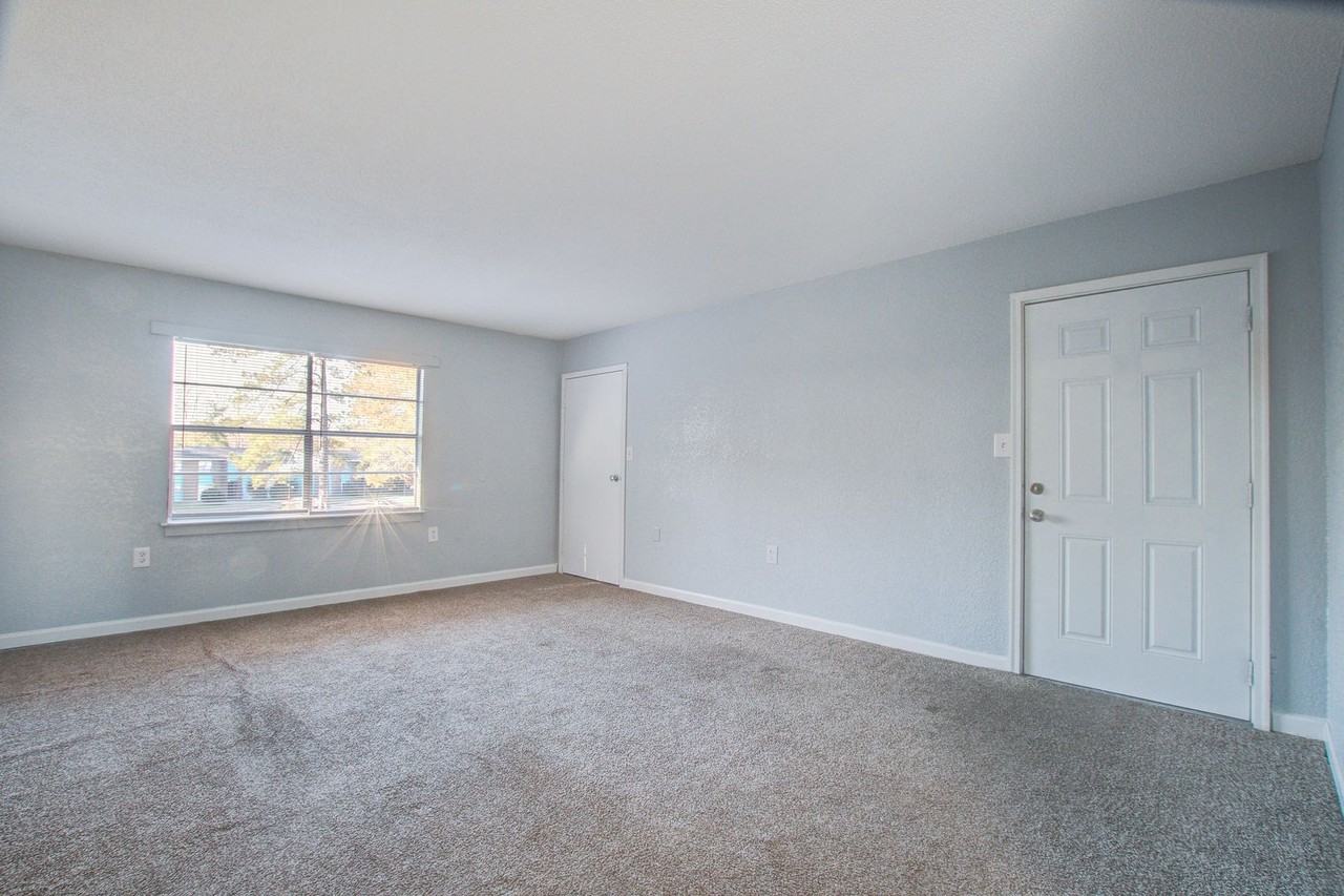 Palmetto Place Apartments - Photo 5 of 17